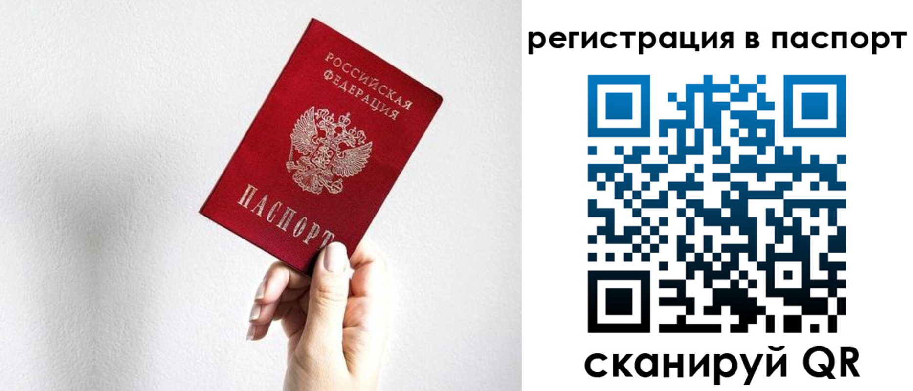 прописка законно в Ногинске