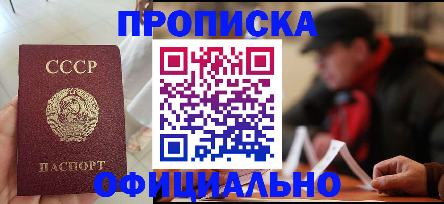временная регистрация для школы в Ногинске